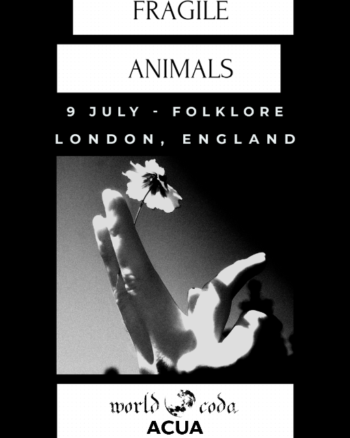 Fragile Animals live in London! 