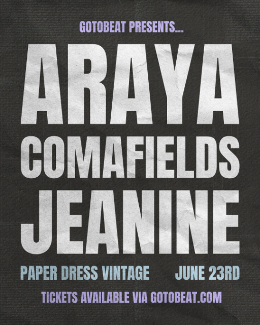 Araya, Comafields & jeanine live at Paper Dress Vintage