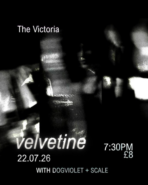 Velvetine + Dogviolet + Scale 
