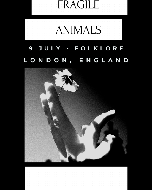 Fragile Animals live in London! 