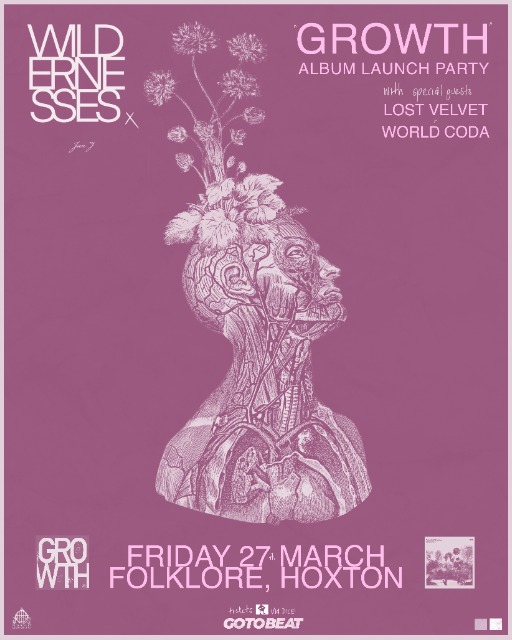 Wildernesses Album Release Show!