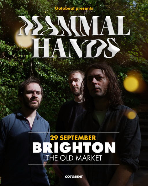 Mammal Hands live in Brighton!