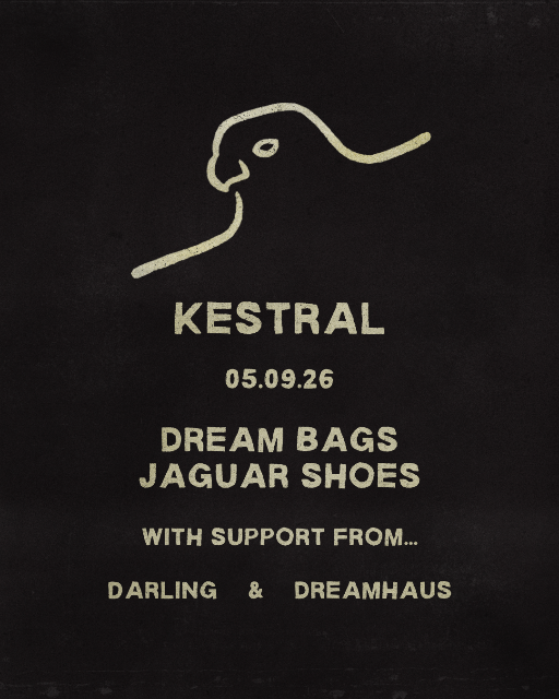 KESTRAL AT DREAM BAGS JAGUAR SHOES
