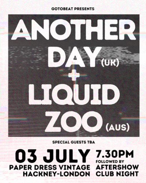 Another Day X Liquid Zoo live at Paper Dress Vintage