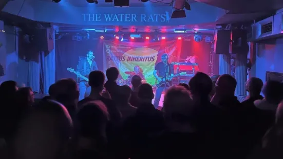 The Water Rats